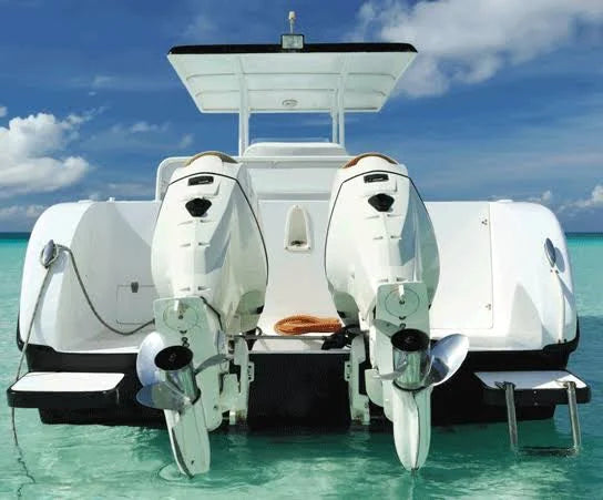 Boat Cover with Fixed T-Tops and Bow Rails P310