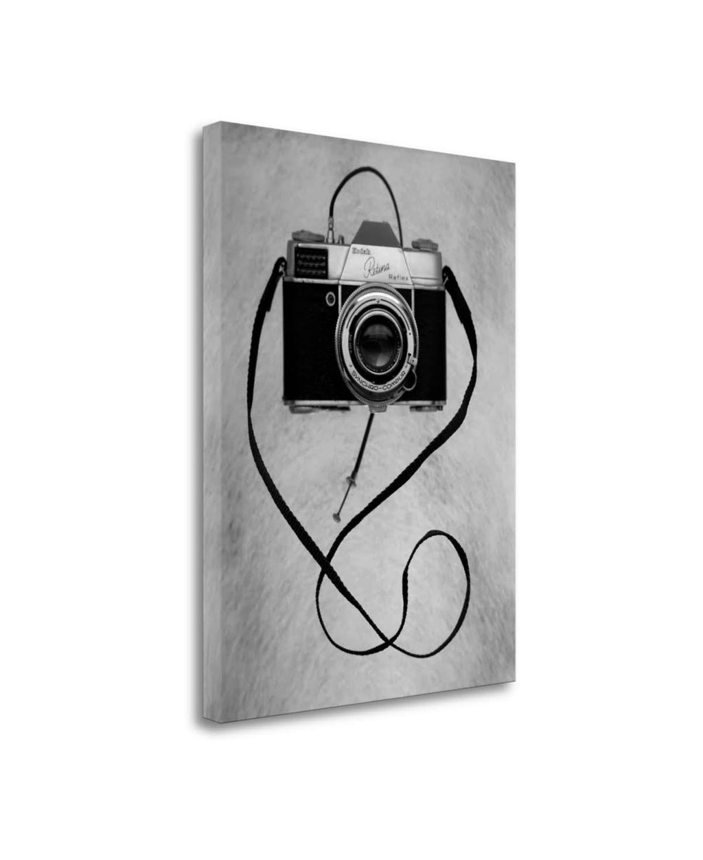 28 Giclee on Gallery Wrap Canvas H53211