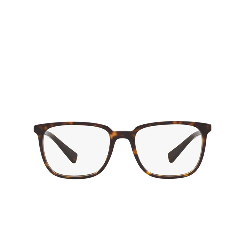 Havana Eyeglasses P3373
