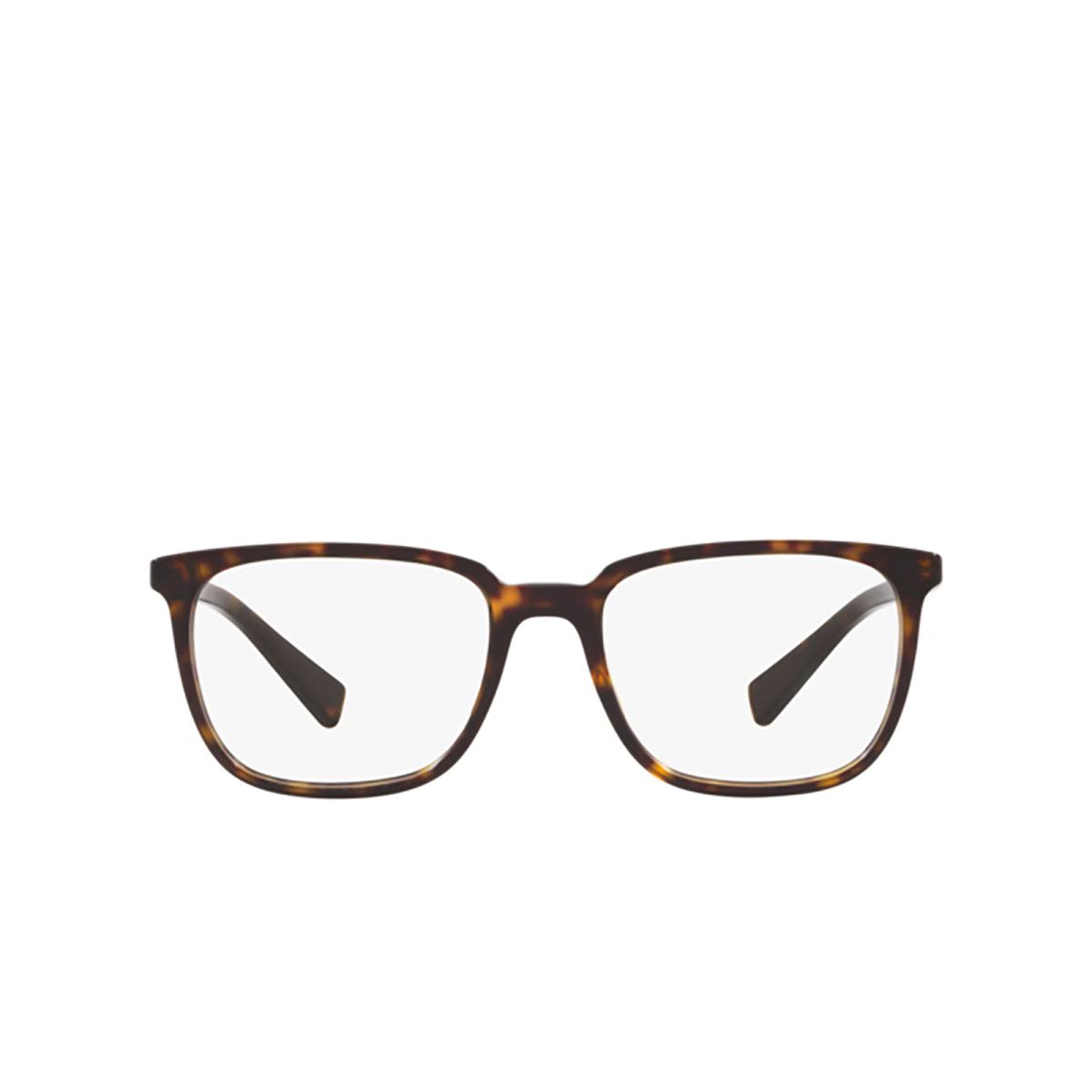 Havana Eyeglasses P3373