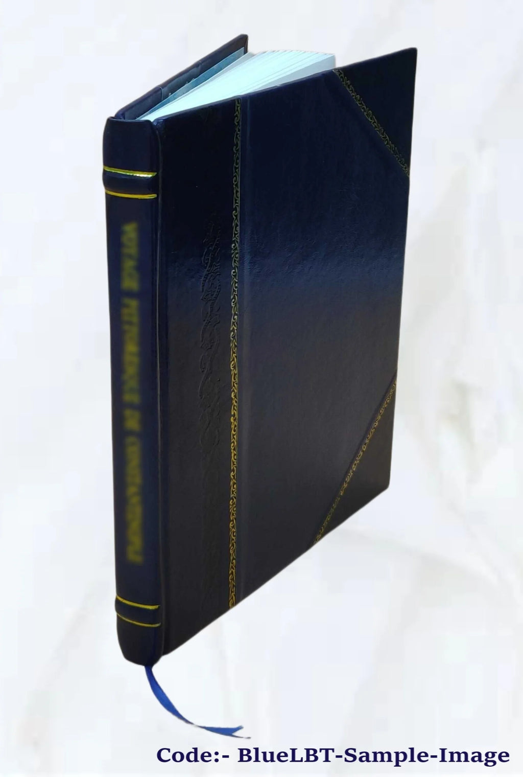 Leather Bound Book O4317