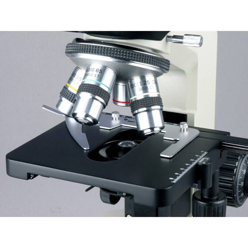 Binocular Compound Microscope M463684