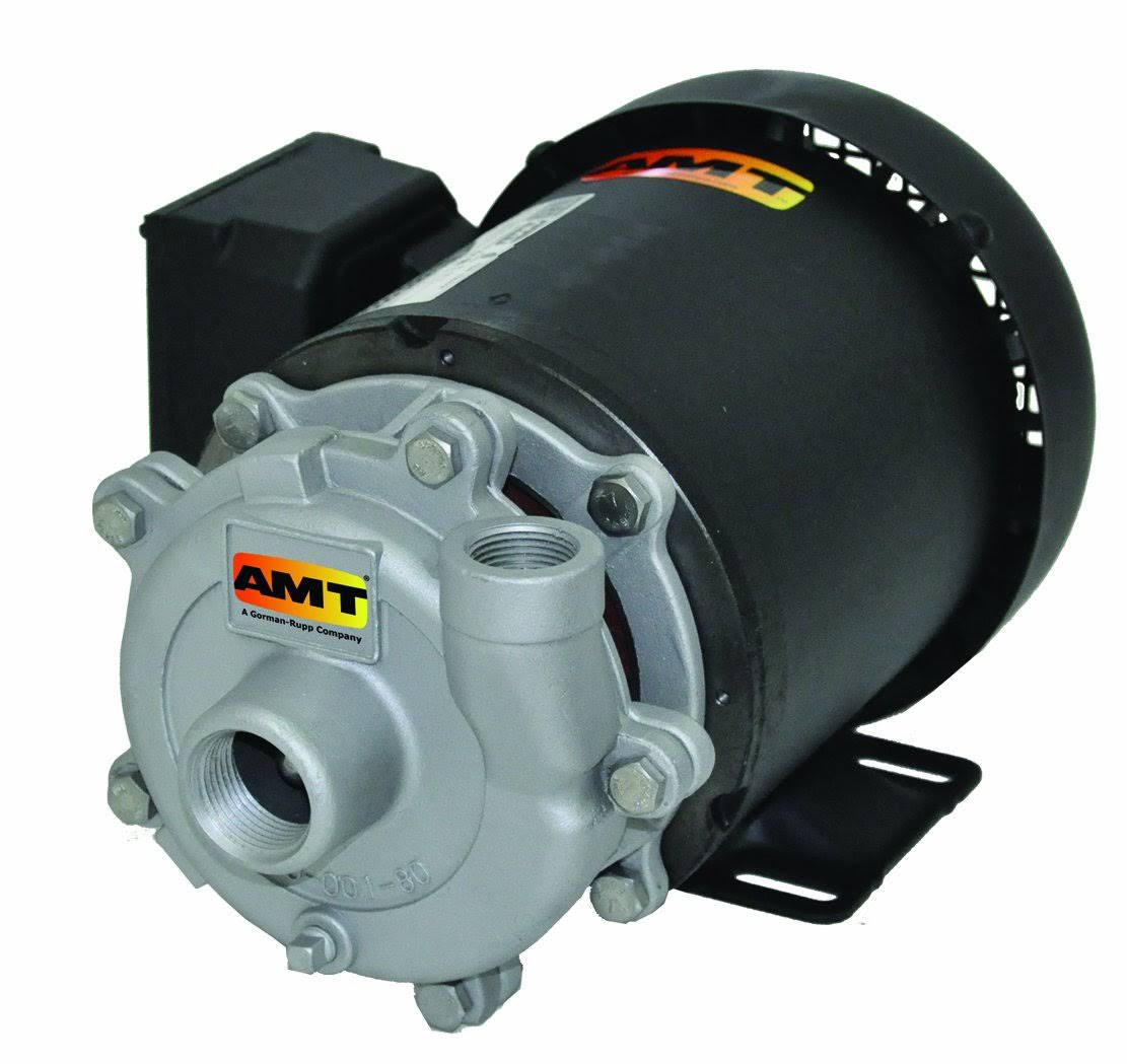 Stainless Steel Straight Centrifugal Pump, 1/3 HP, 1 Phase, 115/230V D301