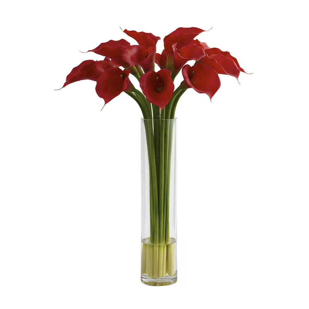 Red Calla Lily with Large Cylinder Vase K454949