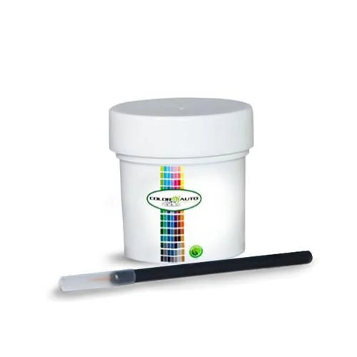 80 Single Stage Automotive Paint 1 Oz Bottle Y646