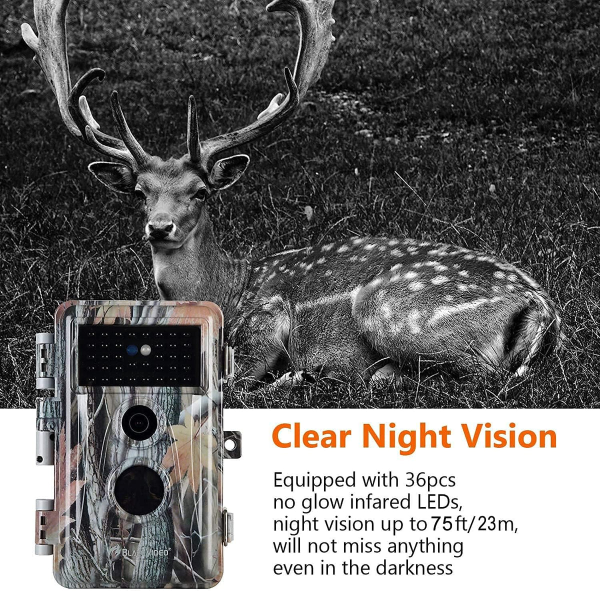 2-Pack Night Vision Trail Cameras 24MP 1296P H.264 MP4 Video No Glow IP66 Waterproof Motion Activated C7620