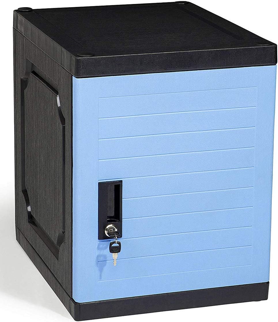 Gray Lockable Storage Cabinet with Keys X870871