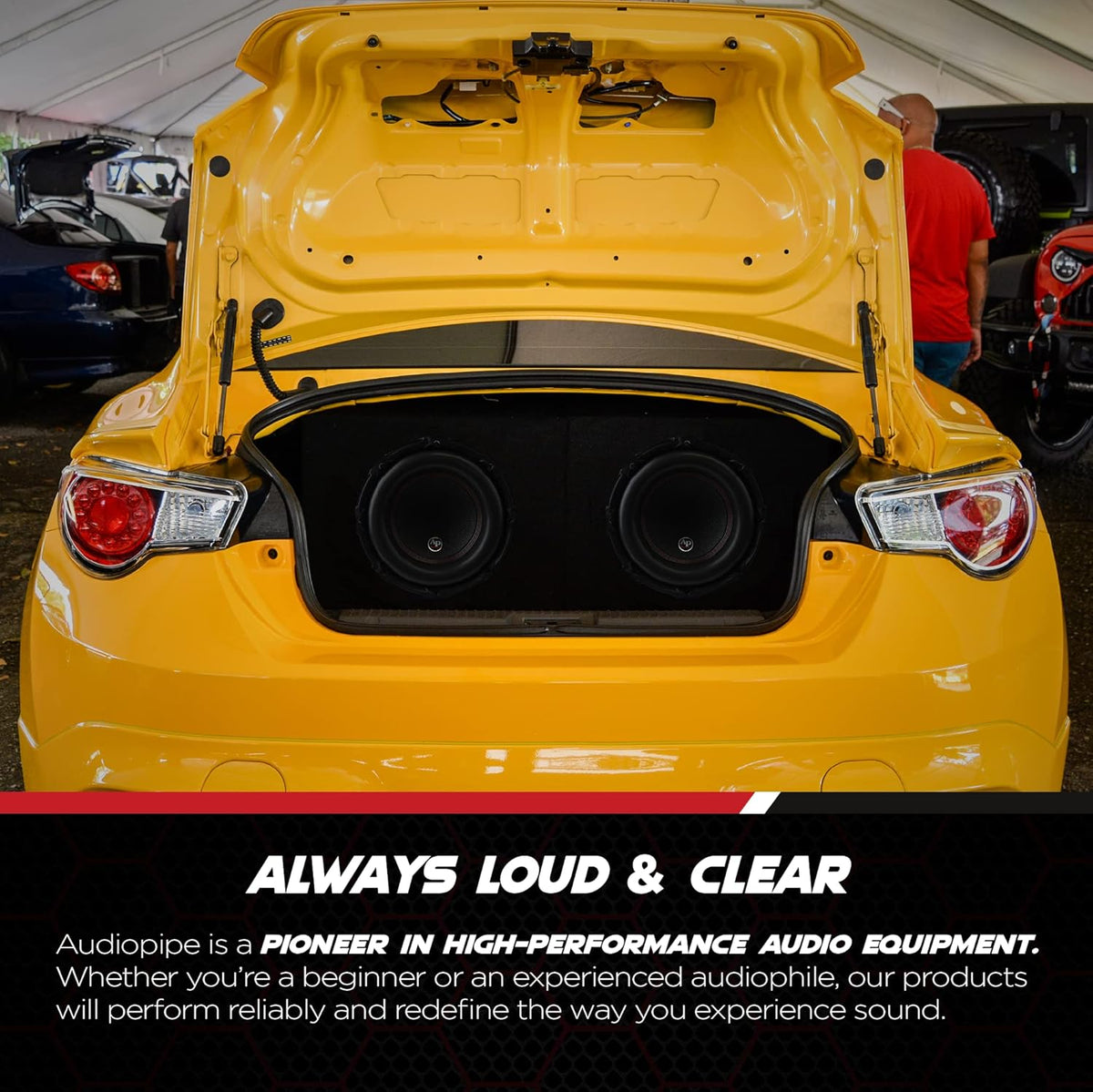 12 Inch Dual 2 Ohm DVC Car Audio Subwoofer Speaker System W498