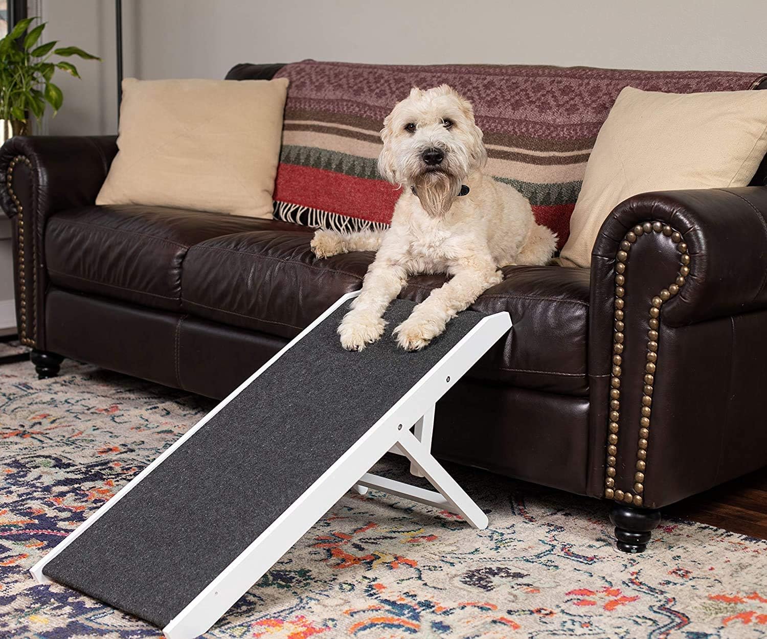 White Wooden Folding Dog Ramp for Small Dogs or Cats, Pack of 2 L8414