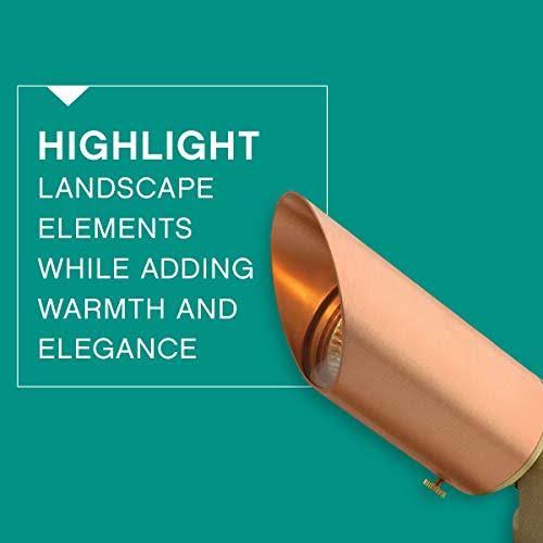 Natural Copper Landscape Accent Spot Light R137