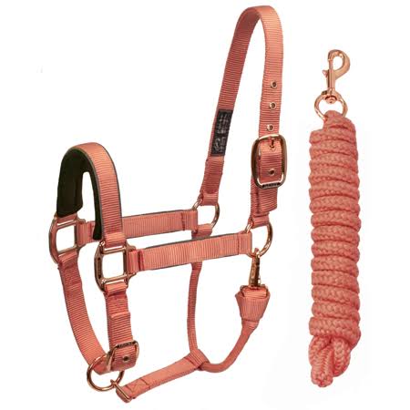 Coral Reflective Safety Horse Halter and Lead A650