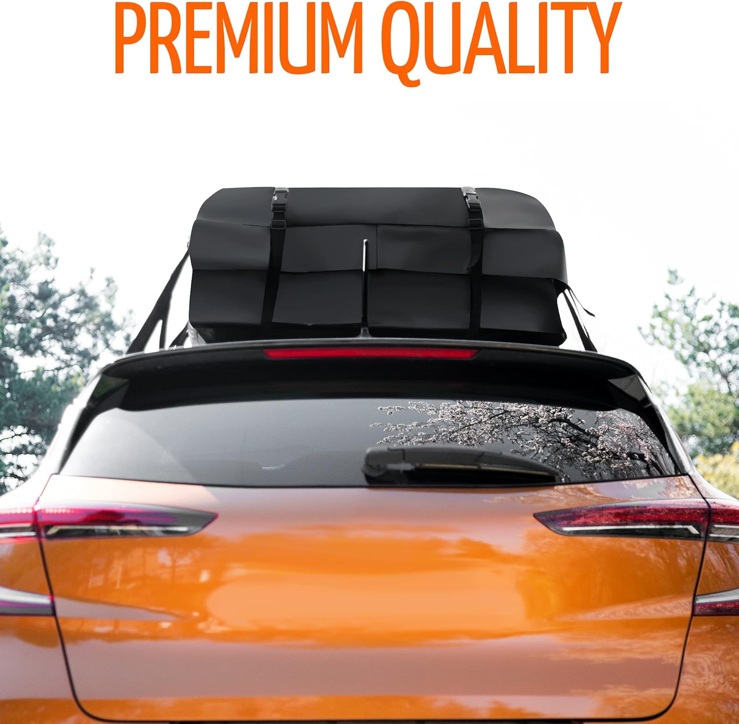 Car Roof Cargo Bag Water Resistant with Anti Slip Mat, 8 Straps G660