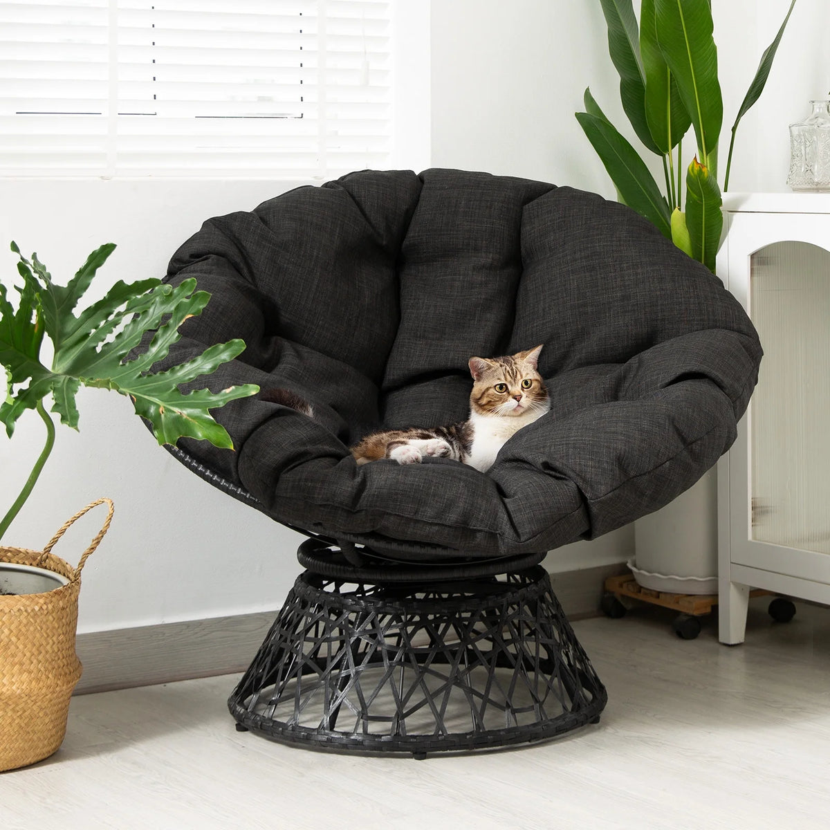 Black Papasan Chair with Steel Frame W774294