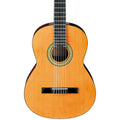 Classical Acoustic Guitar U891