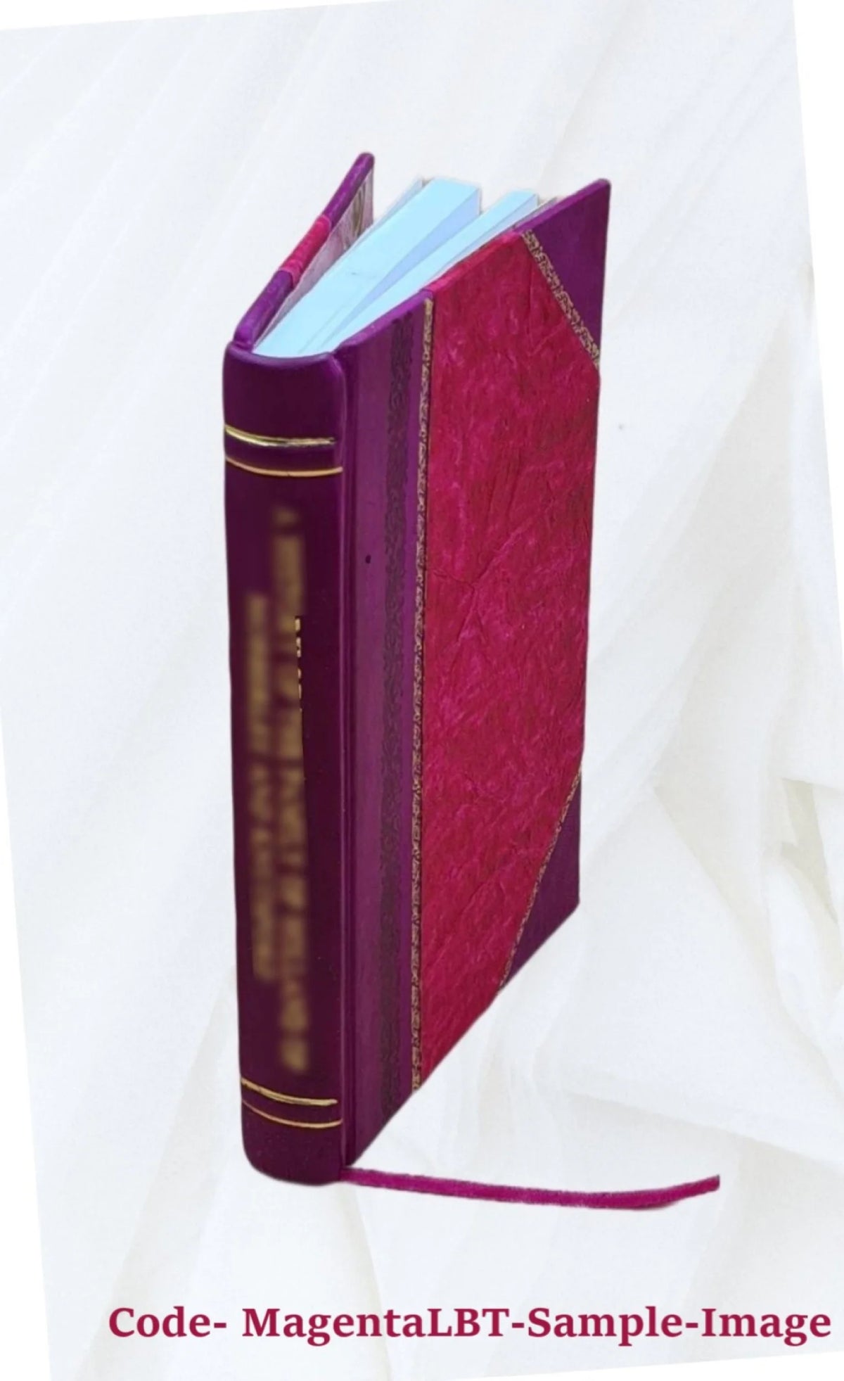 Leather Bound Book O4317