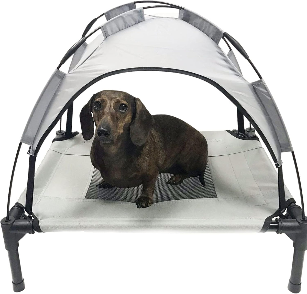 Grey Elevated Pet Cot With Canopy Outdoor Dog Bed H3475