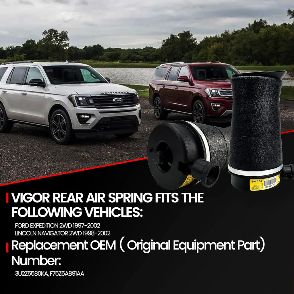 Rear Air Spring K6658