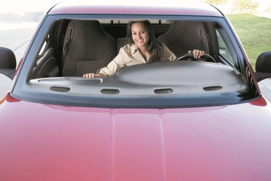 Dash Cover T61733