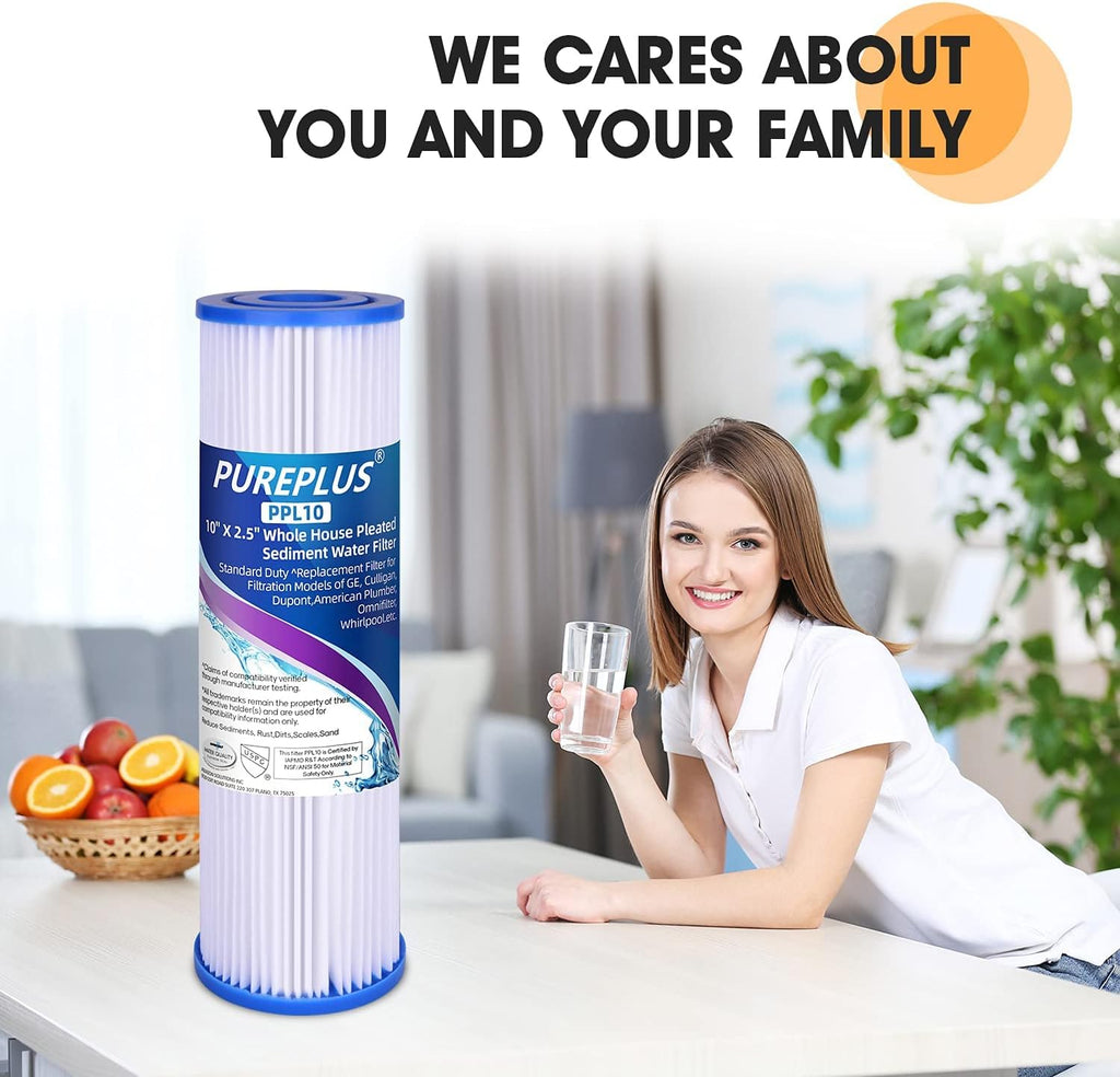 5 Micron 10x2.5 Whole House Pleated Sediment Filter Replacement Cartridge, 4Pack F8941