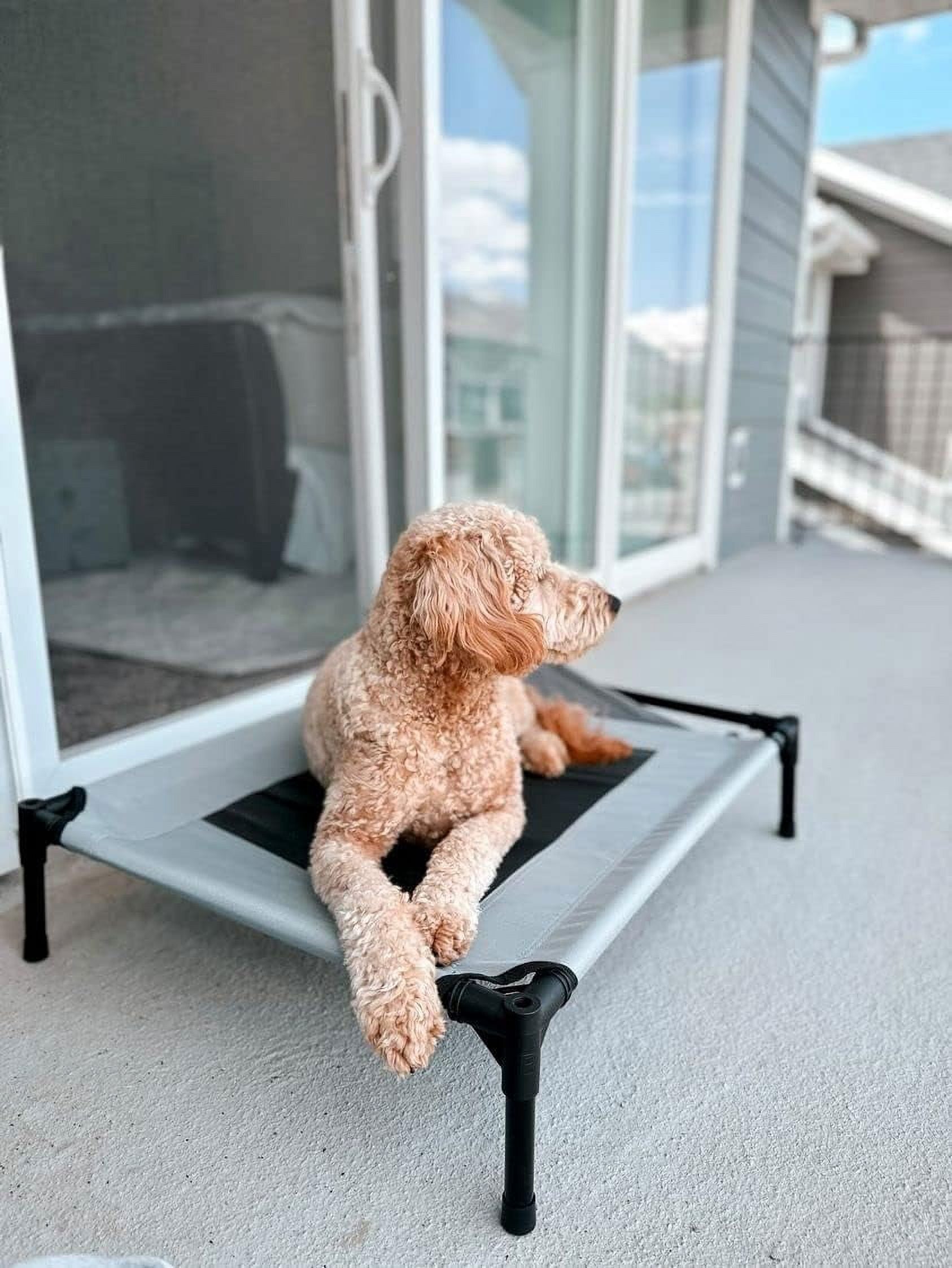 Grey Elevated Pet Cot With Canopy Outdoor Dog Bed H3475