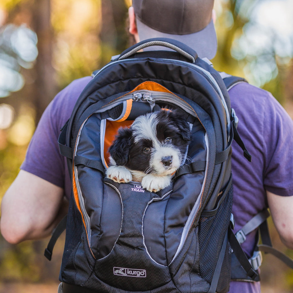 Navy Blue Dog Carrier Backpack J27651