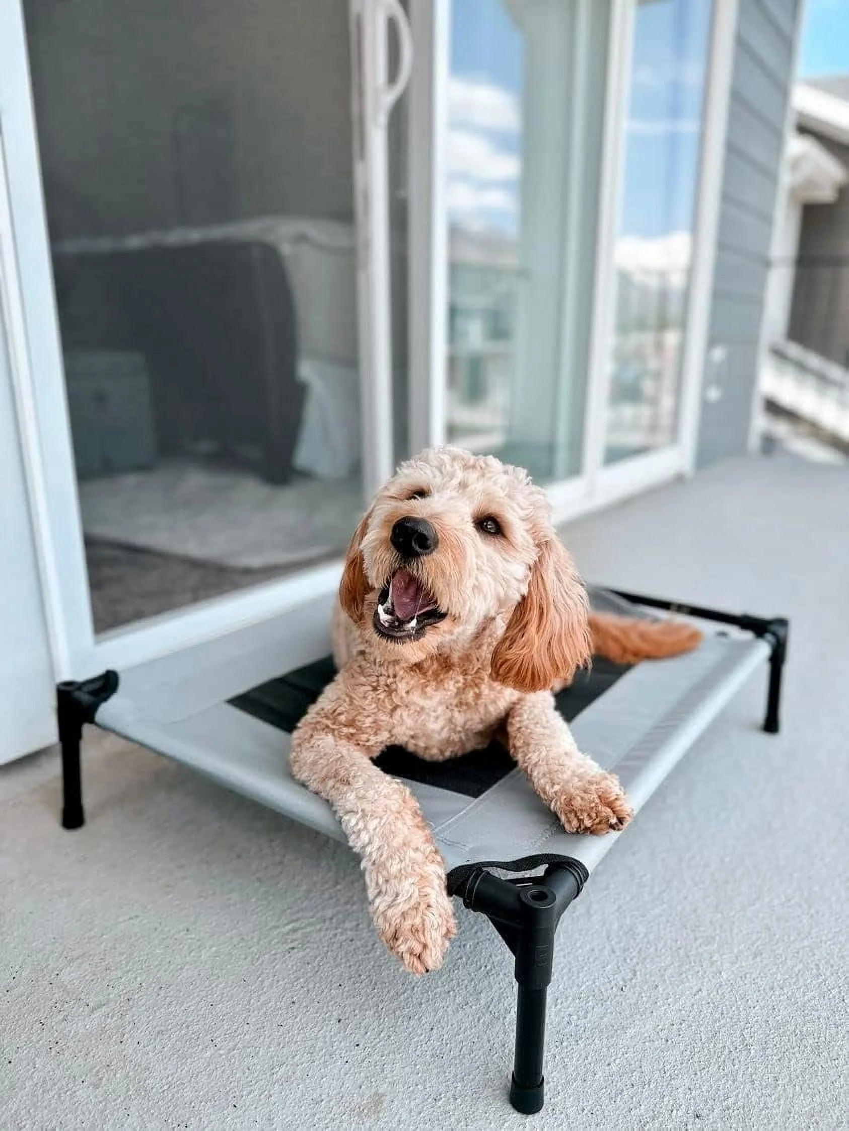 Grey Elevated Pet Cot With Canopy Outdoor Dog Bed H3475