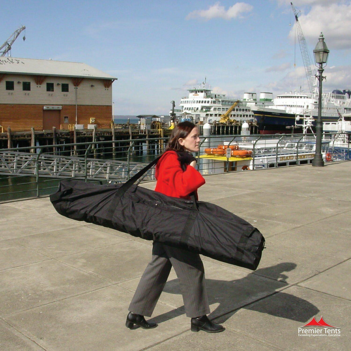 10x10 Canopy Carry Bag P182107