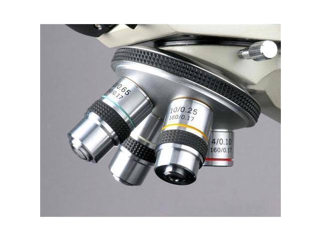 Binocular Compound Microscope M463684