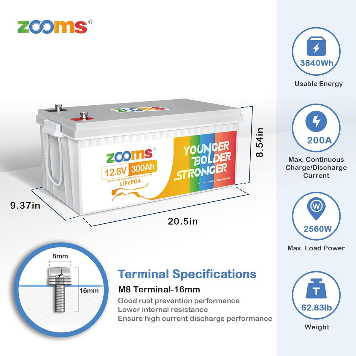12V 200Ah LiFePO4 Battery Lithium Iron Phosphate Deep Cycle Rechargeable Battery with Built-in 100A BMS X66439