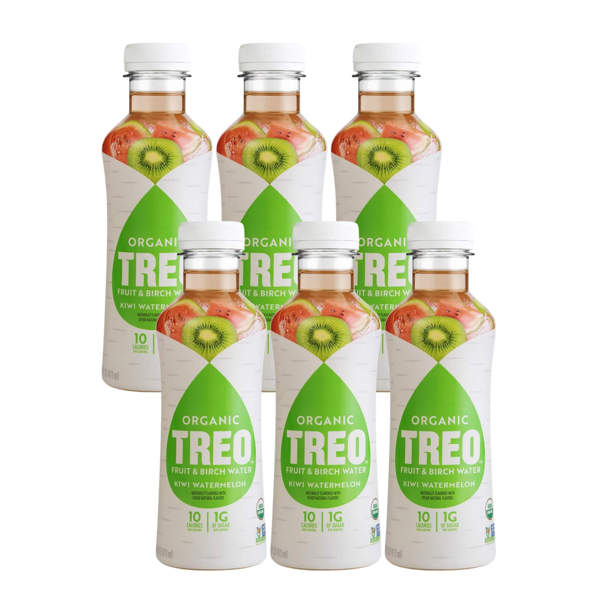 Kiwi Watermelon Fruit & Birch Water Drink, 16 fl oz (Pack of 6) X7486