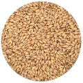 6-Row Malt - 55 lb. Sack - Unmilled O4142