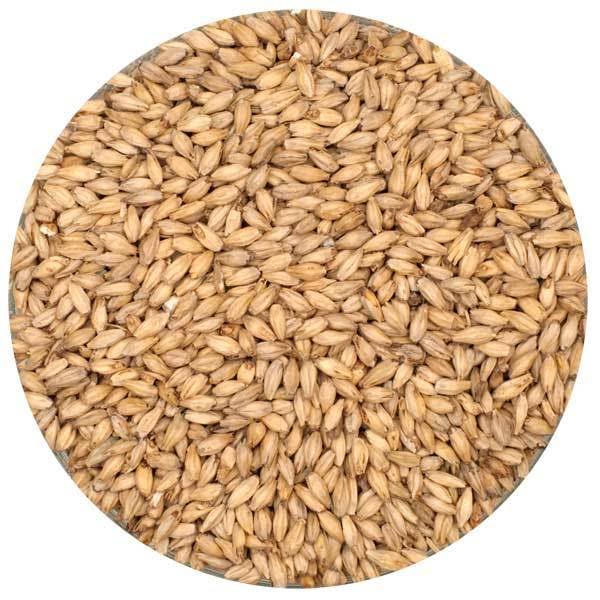 6-Row Malt - 55 lb. Sack - Unmilled O4142