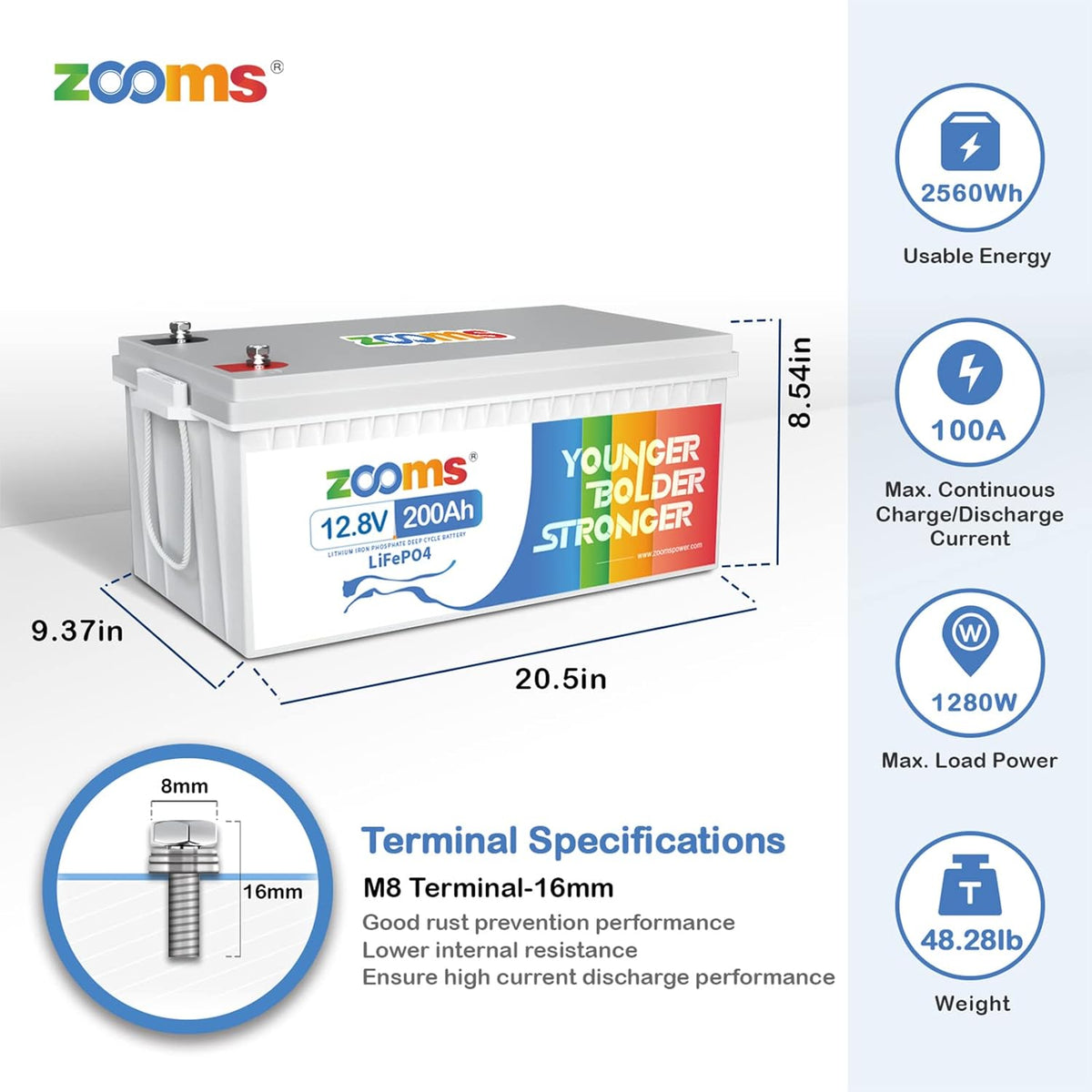 12V 200Ah LiFePO4 Battery Lithium Iron Phosphate Deep Cycle Rechargeable Battery with Built-in 100A BMS X66439