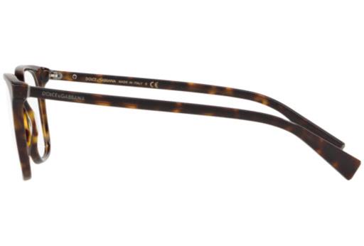 Havana Eyeglasses P3373