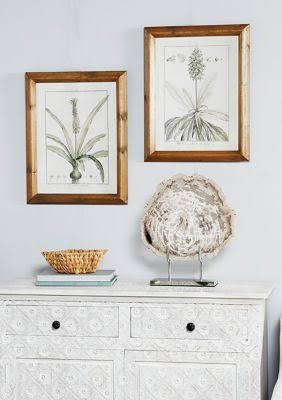 Large Black and White Vintage Botanical Prints in Natural Wood Frames Set V2872