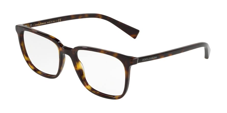 Havana Eyeglasses P3373