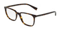Havana Eyeglasses P3373