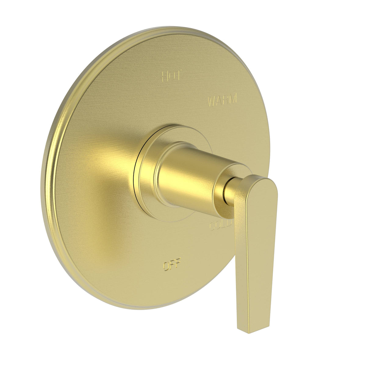 Satin Brass Shower Trim Plate with Handle J43574