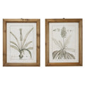 Large Black and White Vintage Botanical Prints in Natural Wood Frames Set V2872
