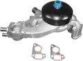 Engine Water Pump S491