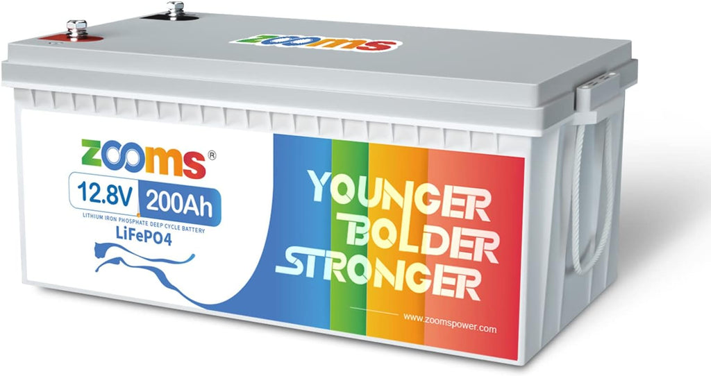 12V 200Ah LiFePO4 Battery Lithium Iron Phosphate Deep Cycle Rechargeable Battery with Built-in 100A BMS X66439