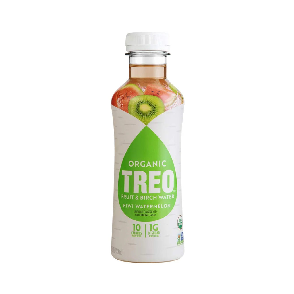 Kiwi Watermelon Fruit & Birch Water Drink, 16 fl oz (Pack of 6) X7486
