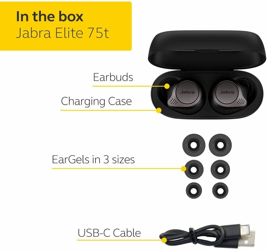 Titanium Black Bluetooth Wireless In-Ear Earphones with Mic V9438