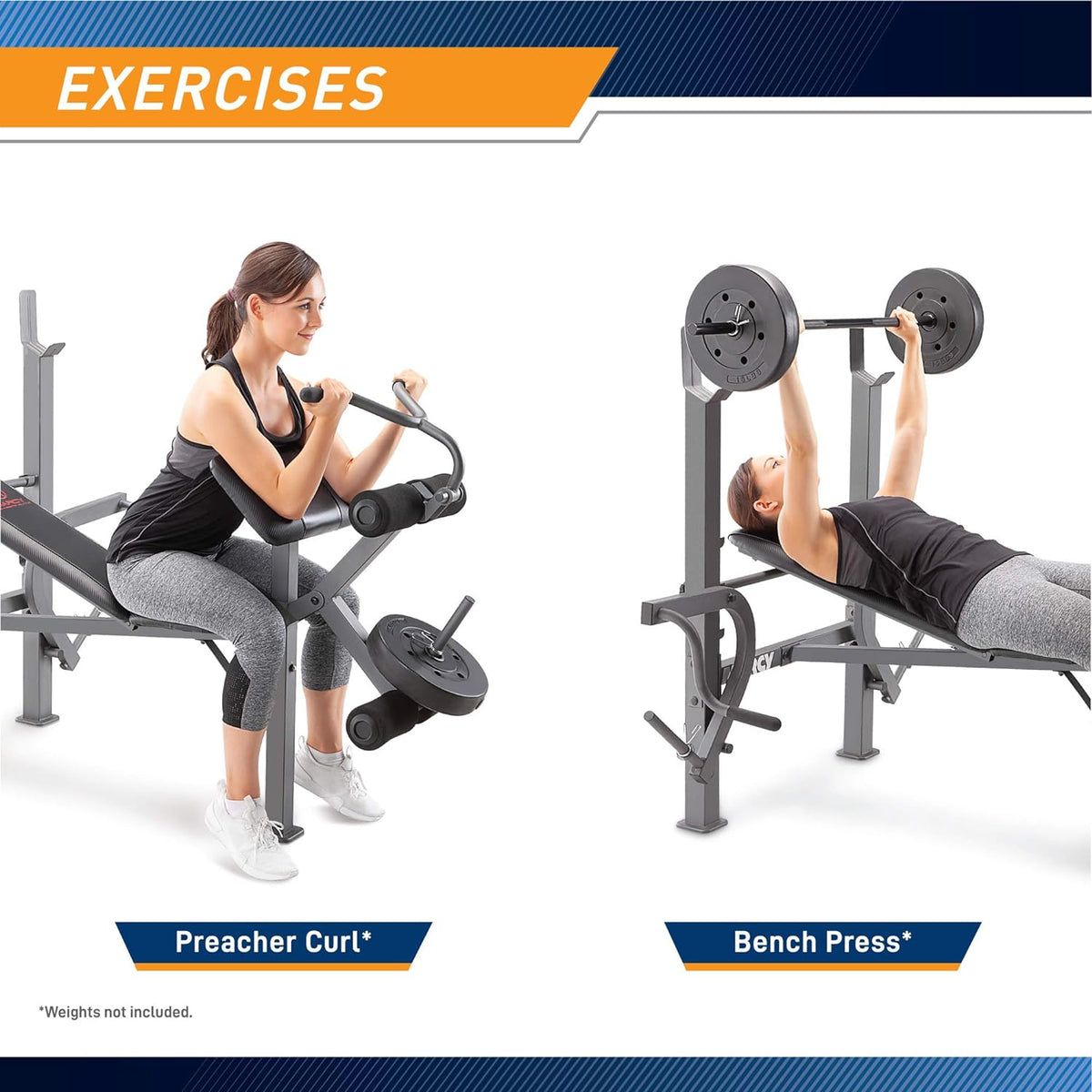 Standard Weight Bench with Leg Developer U1221