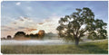 Canvas Art 40x21 G725