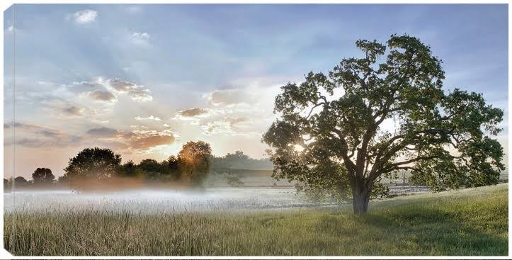 Canvas Art 40x21 G725