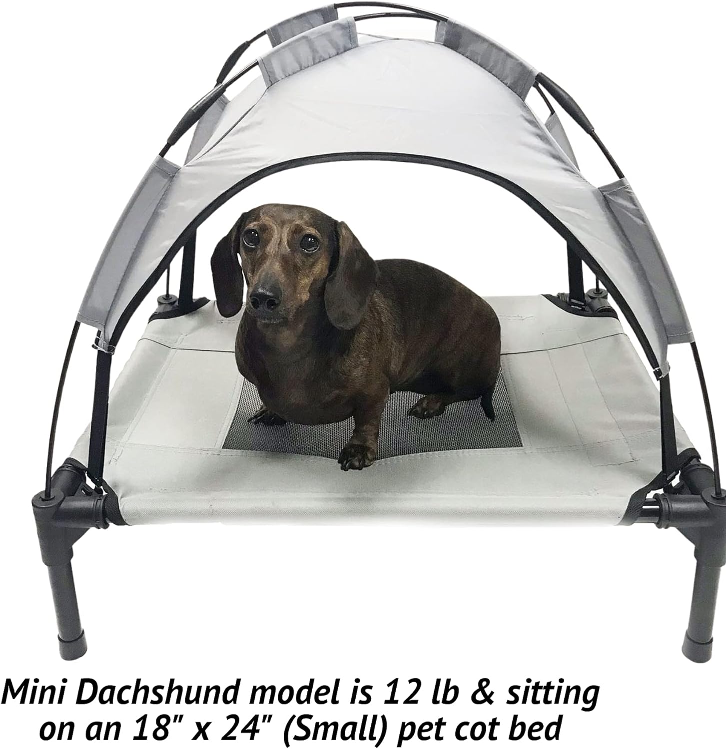 Grey Elevated Pet Cot With Canopy Outdoor Dog Bed H3475