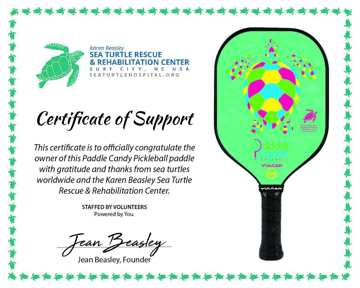 Pickleball Paddle T905